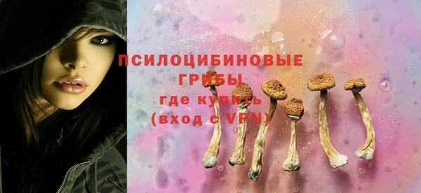 винт Алексин