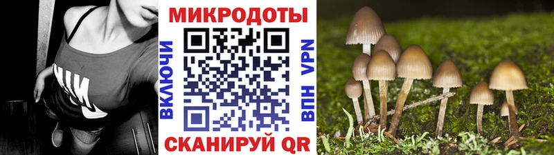 Псилоцибиновые грибы MAGIC MUSHROOMS  даркнет сайт  сайты даркнета формула  Арамиль 